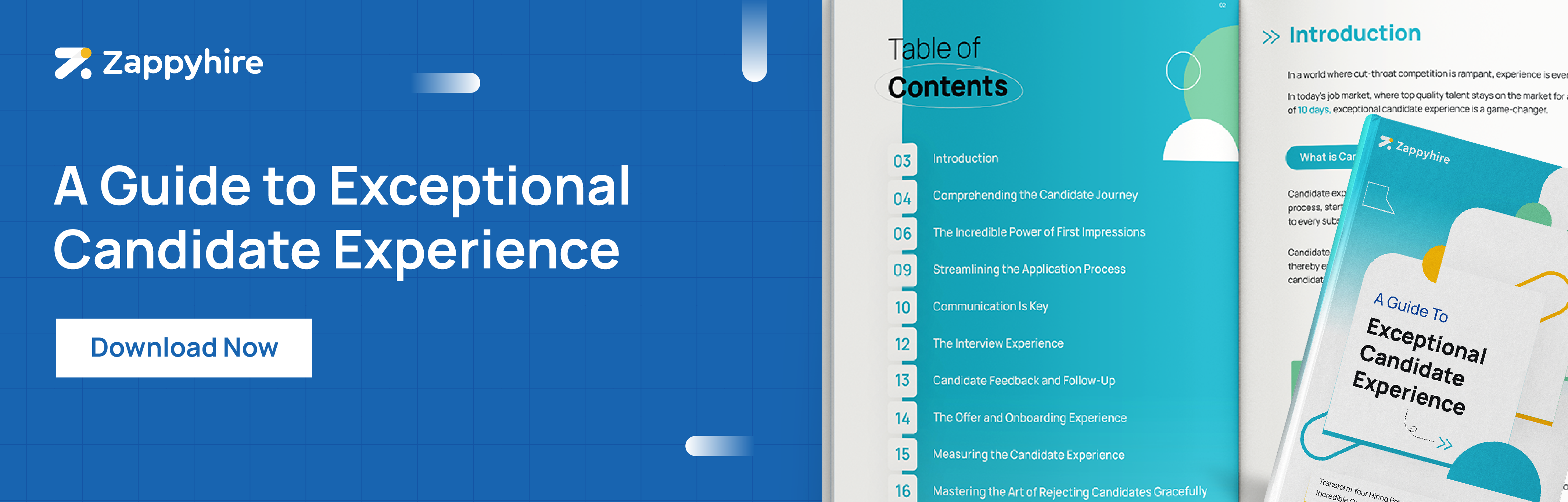 Download the candidate experience eBook
